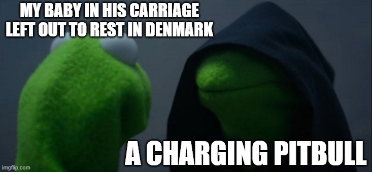 run or you will be dinner | MY BABY IN HIS CARRIAGE LEFT OUT TO REST IN DENMARK; A CHARGING PITBULL | image tagged in memes,evil kermit,pitbull,denmark,baby | made w/ Imgflip meme maker