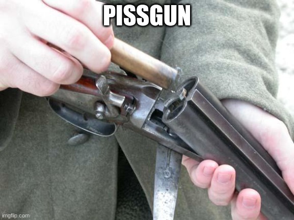 Shotgun Loading | PISSGUN | image tagged in shotgun loading | made w/ Imgflip meme maker