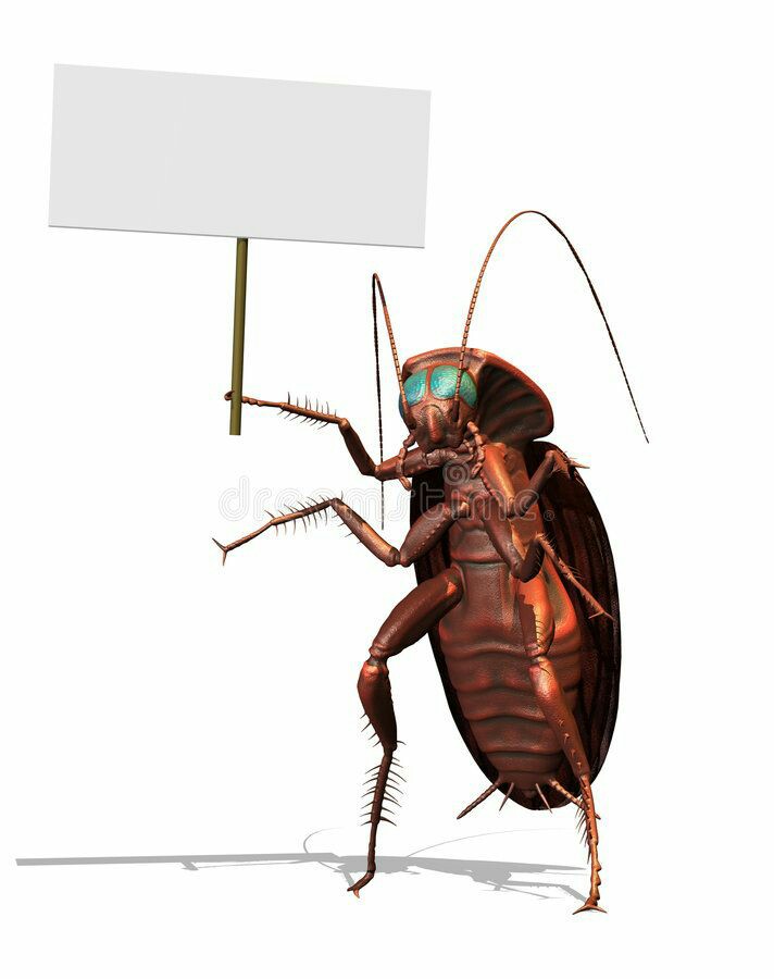 High Quality Where are you (cockroach) Blank Meme Template