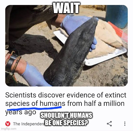 WAIT; SHOULDN'T HUMANS BE ONE SPECIES? | image tagged in biology,humans | made w/ Imgflip meme maker