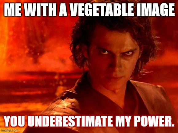 You Underestimate My Power Meme | ME WITH A VEGETABLE IMAGE YOU UNDERESTIMATE MY POWER. | image tagged in memes,you underestimate my power | made w/ Imgflip meme maker