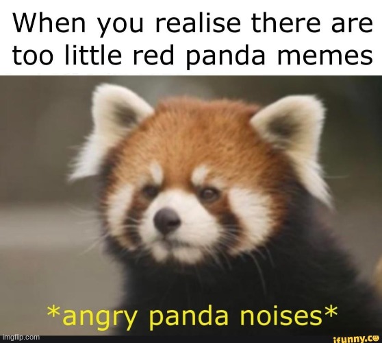 Red Panda | image tagged in redpanda | made w/ Imgflip meme maker