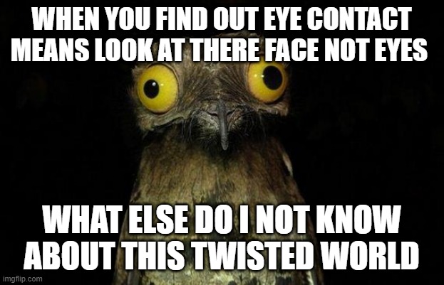 (mod note: wait hol up a minute-) | WHEN YOU FIND OUT EYE CONTACT MEANS LOOK AT THERE FACE NOT EYES; WHAT ELSE DO I NOT KNOW ABOUT THIS TWISTED WORLD | image tagged in memes,weird stuff i do potoo | made w/ Imgflip meme maker
