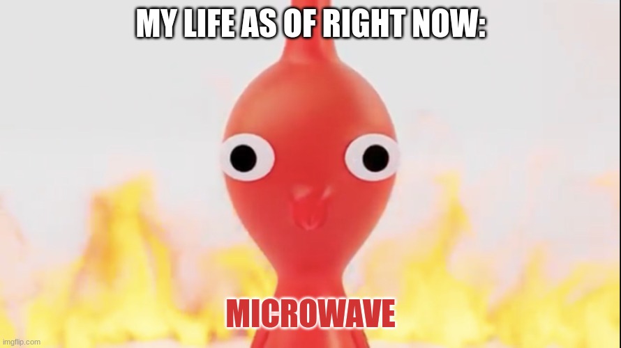 Red pikmin | MY LIFE AS OF RIGHT NOW: MICROWAVE | image tagged in red pikmin | made w/ Imgflip meme maker
