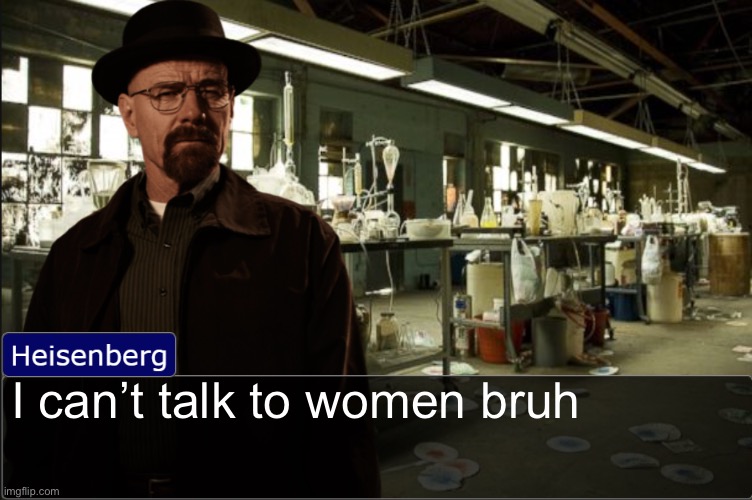 Heisenberg objection template | I can’t talk to women bruh | image tagged in heisenberg objection template | made w/ Imgflip meme maker