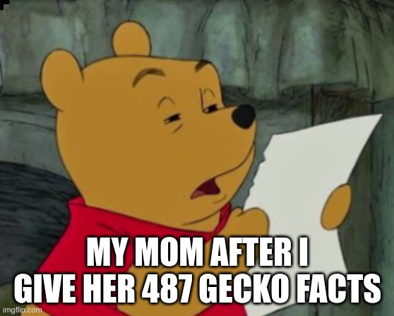 gecko facts | MY MOM AFTER I GIVE HER 487 GECKO FACTS | image tagged in gecko | made w/ Imgflip meme maker