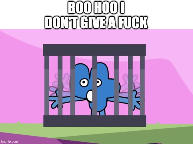 Four in a cage | BOO HOO I DON'T GIVE A FUCK | image tagged in four in a cage | made w/ Imgflip meme maker