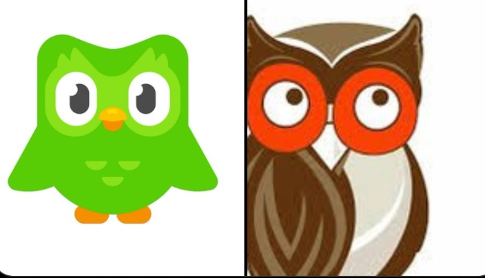 High Quality Duolingo owl vs hooters owl Blank Meme Template
