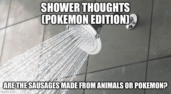 Shower Thoughts | SHOWER THOUGHTS
(POKEMON EDITION); ARE THE SAUSAGES MADE FROM ANIMALS OR POKEMON? | image tagged in shower thoughts | made w/ Imgflip meme maker