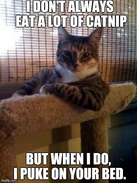 The Most Interesting Cat In The World Meme | I DON'T ALWAYS EAT A LOT OF CATNIP BUT WHEN I DO, I PUKE ON YOUR BED. | image tagged in memes,the most interesting cat in the world | made w/ Imgflip meme maker
