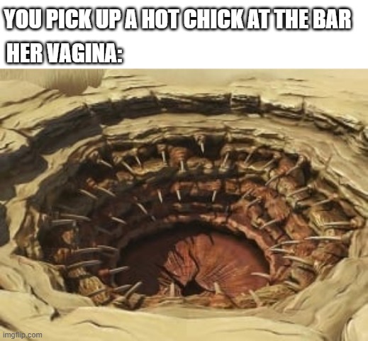Not a Hot Chick | YOU PICK UP A HOT CHICK AT THE BAR; HER VAGINA: | image tagged in sex jokes | made w/ Imgflip meme maker