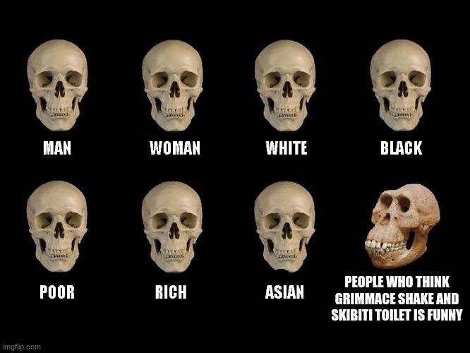 empty skulls of truth | PEOPLE WHO THINK GRIMMACE SHAKE AND SKIBITI TOILET IS FUNNY | image tagged in empty skulls of truth,memes | made w/ Imgflip meme maker