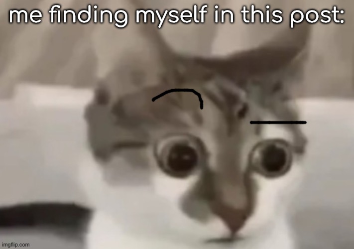 bombastic side eye cat | me finding myself in this post: | image tagged in bombastic side eye cat | made w/ Imgflip meme maker