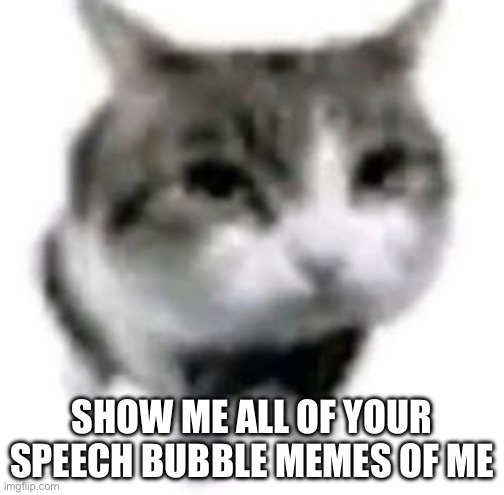 SHOW ME ALL OF YOUR SPEECH BUBBLE MEMES OF ME | made w/ Imgflip meme maker