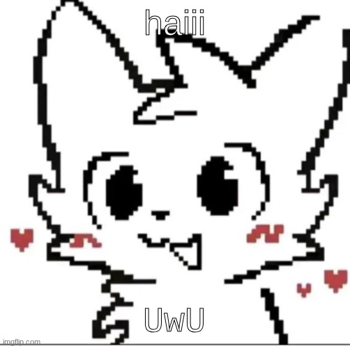 silly cat | haiii; UwU | image tagged in silly cat | made w/ Imgflip meme maker