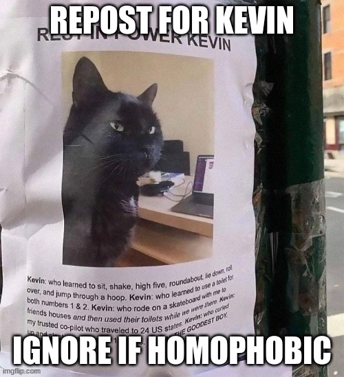 You should repost this... NOW! | REPOST FOR KEVIN; IGNORE IF HOMOPHOBIC | image tagged in sharethelament | made w/ Imgflip meme maker