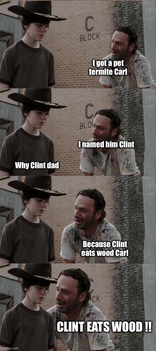 Clint !! | I got a pet termite Carl; I named him Clint; Why Clint dad; Because Clint eats wood Carl; CLINT EATS WOOD !! | image tagged in memes,rick and carl long | made w/ Imgflip meme maker