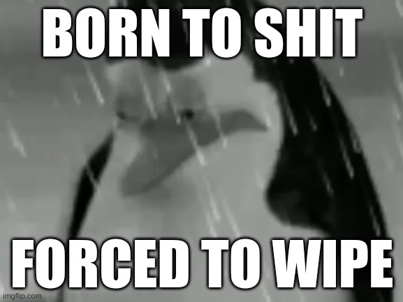 Sadge | BORN TO SHIT; FORCED TO WIPE | image tagged in sadge | made w/ Imgflip meme maker