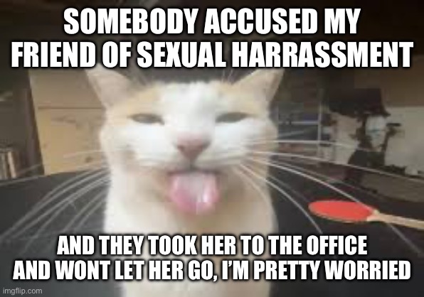 She didn’t do it btw | SOMEBODY ACCUSED MY FRIEND OF SEXUAL HARRASSMENT; AND THEY TOOK HER TO THE OFFICE AND WONT LET HER GO, I’M PRETTY WORRIED | image tagged in cat | made w/ Imgflip meme maker