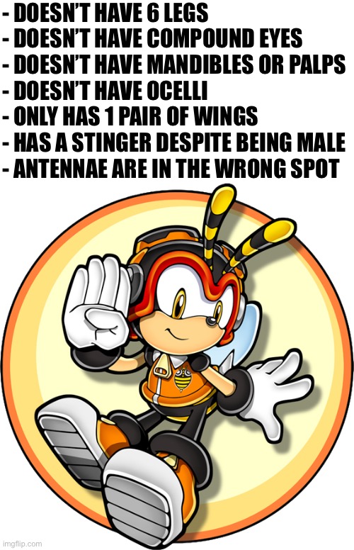 For fun. | - DOESN’T HAVE 6 LEGS
- DOESN’T HAVE COMPOUND EYES
- DOESN’T HAVE MANDIBLES OR PALPS
- DOESN’T HAVE OCELLI
- ONLY HAS 1 PAIR OF WINGS
- HAS A STINGER DESPITE BEING MALE
- ANTENNAE ARE IN THE WRONG SPOT | image tagged in charmy bee | made w/ Imgflip meme maker