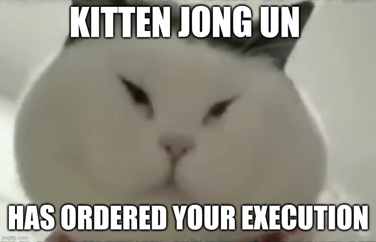 Meowwwww | KITTEN JONG UN; HAS ORDERED YOUR EXECUTION | image tagged in meow zedong | made w/ Imgflip meme maker