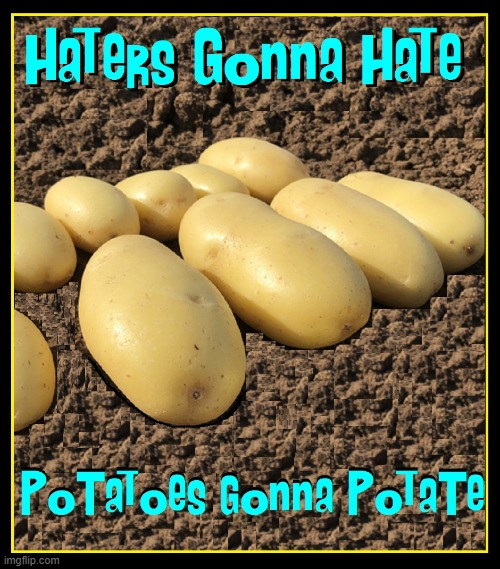 Important Things I've Learned in Life | image tagged in vince vance,potato,potatoes,haters gonna hate,memes,couch potato | made w/ Imgflip meme maker