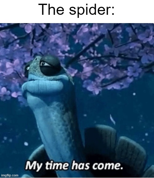 My Time Has Come | The spider: | image tagged in my time has come | made w/ Imgflip meme maker