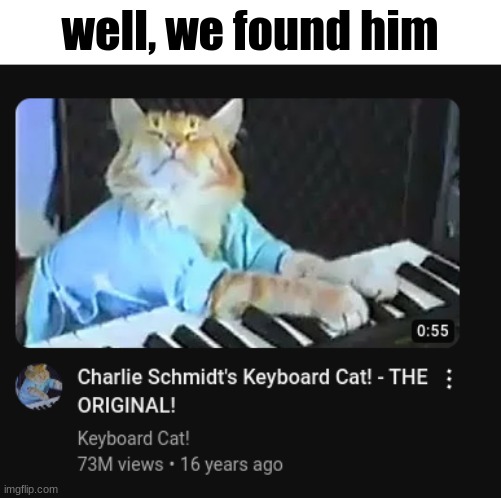 we did it | well, we found him | image tagged in cat | made w/ Imgflip meme maker