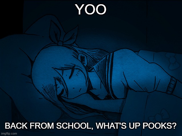 auby sleep | YOO; BACK FROM SCHOOL, WHAT'S UP POOKS? | image tagged in auby sleep | made w/ Imgflip meme maker