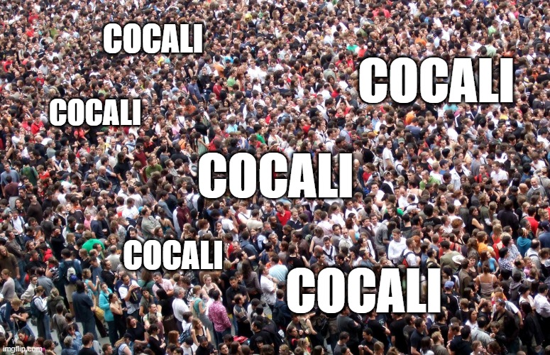 crowd of people | COCALI; COCALI; COCALI; COCALI; COCALI; COCALI | image tagged in crowd of people | made w/ Imgflip meme maker