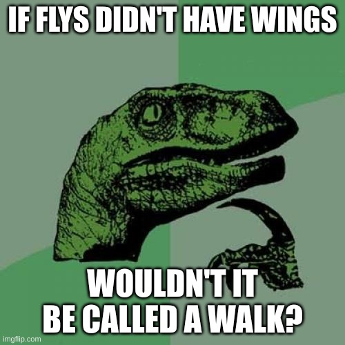 Deep Thoughts #3 | IF FLYS DIDN'T HAVE WINGS; WOULDN'T IT BE CALLED A WALK? | image tagged in memes,philosoraptor,deep thoughts,oh wow are you actually reading these tags,barney will eat all of your delectable biscuits | made w/ Imgflip meme maker
