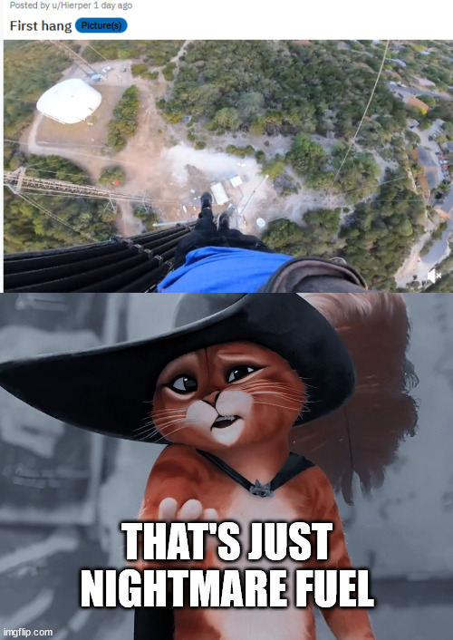 Nightmare Fuel, puss in boots | THAT'S JUST NIGHTMARE FUEL | image tagged in climb,puss in boots,lattice climbing,germany,meme,template | made w/ Imgflip meme maker