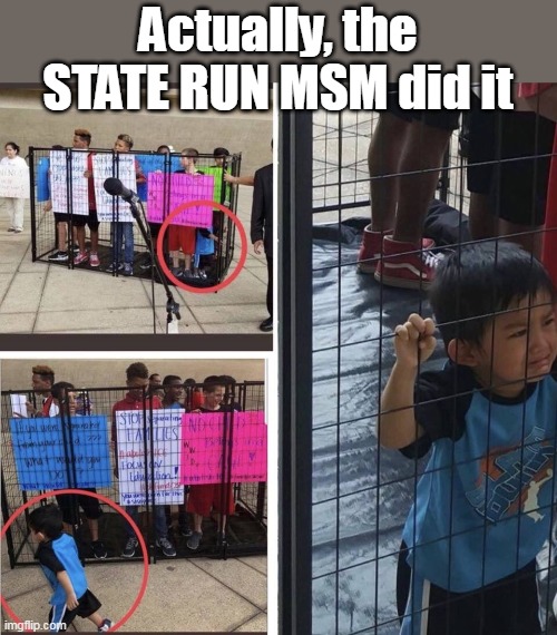 Actually, the STATE RUN MSM did it | made w/ Imgflip meme maker
