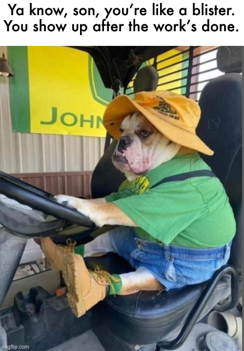 gotta git ‘er done | Ya know, son, you’re like a blister.
You show up after the work’s done. | image tagged in funny,bulldog,meme,farmer,funny saying | made w/ Imgflip meme maker