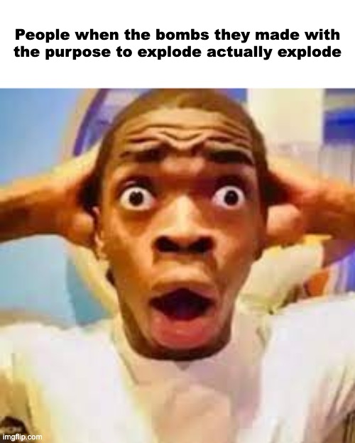 FR ONG?!?!? | People when the bombs they made with the purpose to explode actually explode | image tagged in fr ong | made w/ Imgflip meme maker