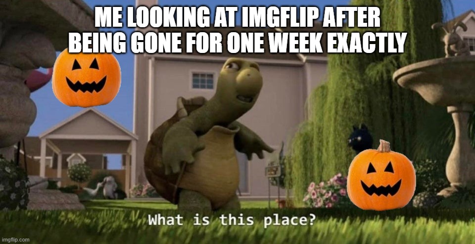 bro its still FRICKING SEPTEMBER | ME LOOKING AT IMGFLIP AFTER BEING GONE FOR ONE WEEK EXACTLY | image tagged in what is this place | made w/ Imgflip meme maker