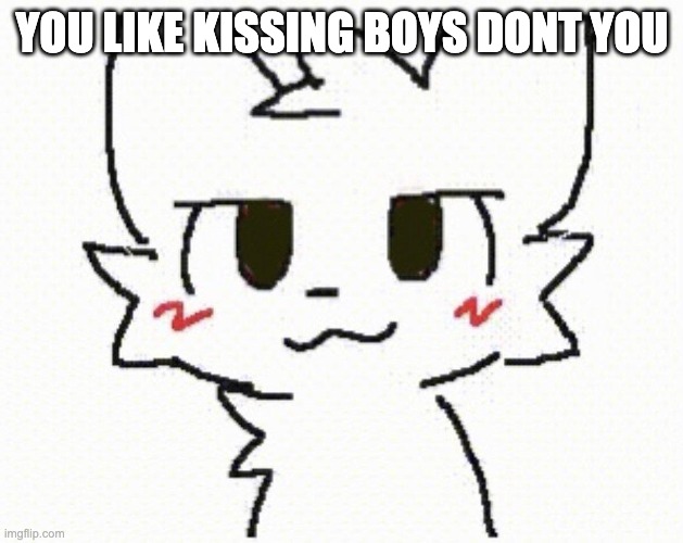 you like kissing boys | YOU LIKE KISSING BOYS DONT YOU | image tagged in you like kissing boys | made w/ Imgflip meme maker