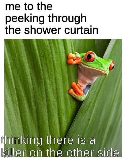 Frog peeking out from leaf | me to the peeking through the shower curtain; thinking there is a killer on the other side | image tagged in frog peeking out from leaf,memes,funny,relatable memes,meme | made w/ Imgflip meme maker