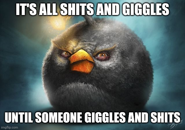 angry birds bomb | IT'S ALL SHITS AND GIGGLES; UNTIL SOMEONE GIGGLES AND SHITS | image tagged in angry birds bomb | made w/ Imgflip meme maker