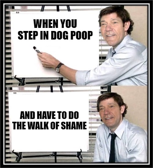 WHEN YOU STEP IN DOG POOP; AND HAVE TO DO THE WALK OF SHAME | image tagged in guy at whiteboard | made w/ Imgflip meme maker