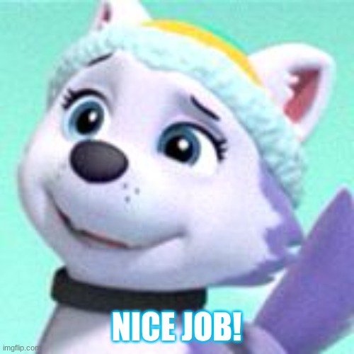 Everest PAW Patrol | NICE JOB! | image tagged in everest paw patrol | made w/ Imgflip meme maker