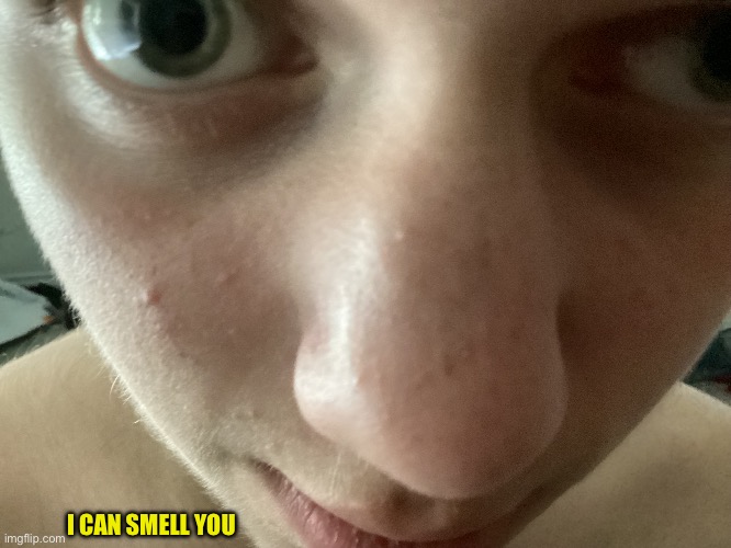 Yes | I CAN SMELL YOU | made w/ Imgflip meme maker