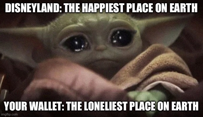 Bye bye my debit card | DISNEYLAND: THE HAPPIEST PLACE ON EARTH; YOUR WALLET: THE LONELIEST PLACE ON EARTH | image tagged in crying baby yoda,mems,memes | made w/ Imgflip meme maker