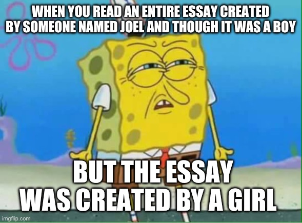 confused | WHEN YOU READ AN ENTIRE ESSAY CREATED BY SOMEONE NAMED JOEL AND THOUGH IT WAS A BOY; BUT THE ESSAY WAS CREATED BY A GIRL | image tagged in memes | made w/ Imgflip meme maker