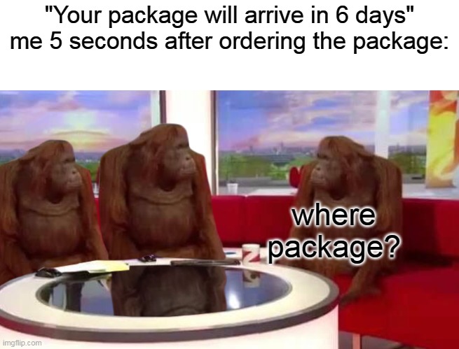 where monkey | "Your package will arrive in 6 days"
me 5 seconds after ordering the package:; where package? | image tagged in where monkey,funny memes,monkey | made w/ Imgflip meme maker