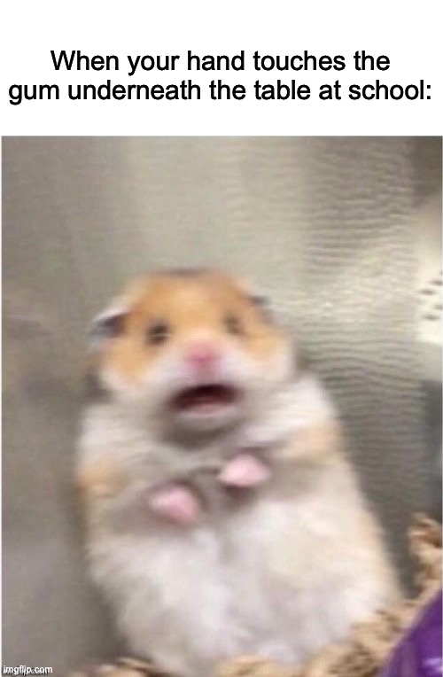Why has nobody I’ve seen made a meme about this | When your hand touches the gum underneath the table at school: | image tagged in scared hamster | made w/ Imgflip meme maker