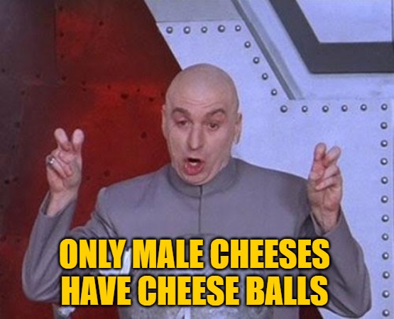 Dr Evil Laser Meme | ONLY MALE CHEESES HAVE CHEESE BALLS | image tagged in memes,dr evil laser | made w/ Imgflip meme maker