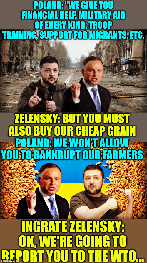 Entitled Ukrainian regime has finally gone too far... | POLAND: "WE GIVE YOU FINANCIAL HELP, MILITARY AID OF EVERY KIND, TROOP TRAINING, SUPPORT FOR MIGRANTS, ETC. ZELENSKY: BUT YOU MUST ALSO BUY OUR CHEAP GRAIN; POLAND: WE WON'T ALLOW YOU TO BANKRUPT OUR FARMERS; INGRATE ZELENSKY: OK, WE'RE GOING TO REPORT YOU TO THE WTO... | image tagged in poland,ukraine,government corruption | made w/ Imgflip meme maker