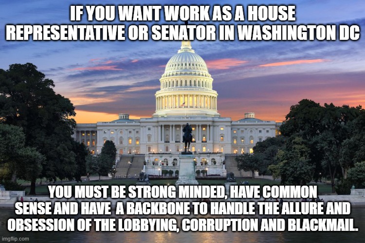 Can any of you Handle it? | IF YOU WANT WORK AS A HOUSE REPRESENTATIVE OR SENATOR IN WASHINGTON DC; YOU MUST BE STRONG MINDED, HAVE COMMON SENSE AND HAVE  A BACKBONE TO HANDLE THE ALLURE AND OBSESSION OF THE LOBBYING, CORRUPTION AND BLACKMAIL. | image tagged in washington dc swamp,corruption,government | made w/ Imgflip meme maker