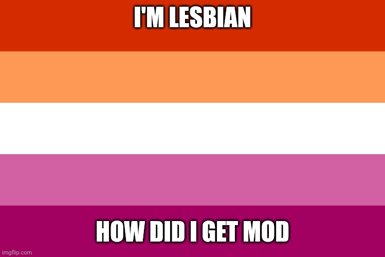 *confusion intensifies* | I'M LESBIAN; HOW DID I GET MOD | image tagged in lesbian flag | made w/ Imgflip meme maker